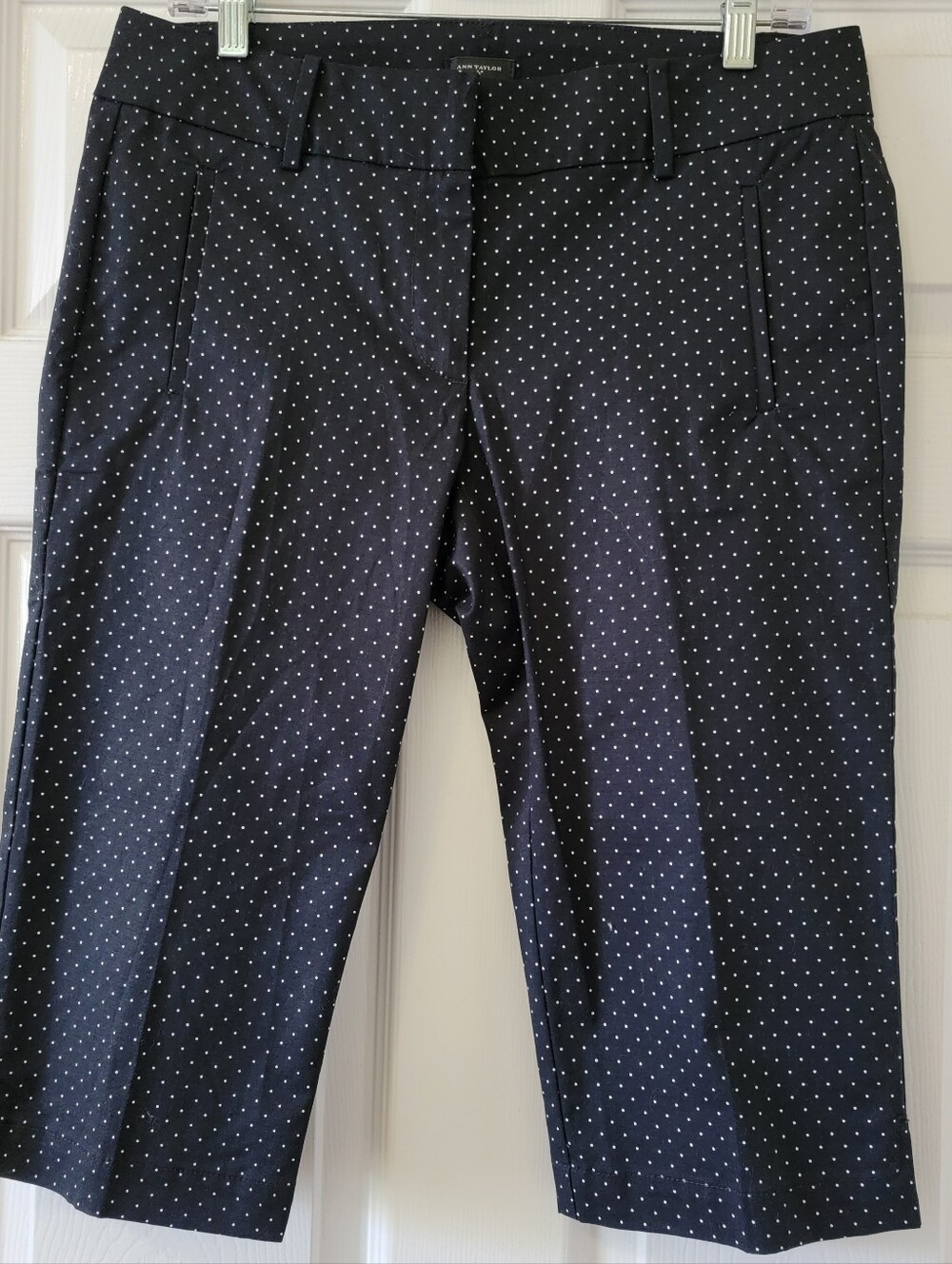 Ann Taylor Signature Capris Size 6